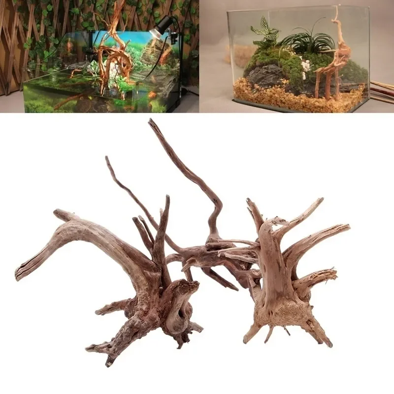 Aquarium Innovative Marine - 천연 나무 줄기 유목 수족관 어항,
