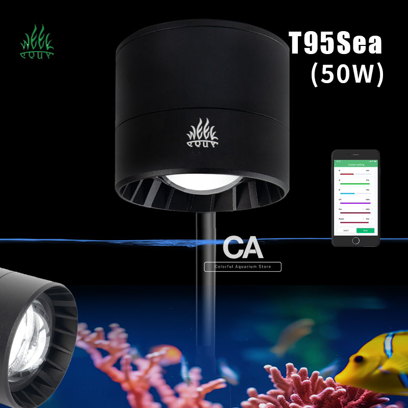 Aqua Marine Tank - 위크 아쿠아 수족관 조명 제조업체 블루