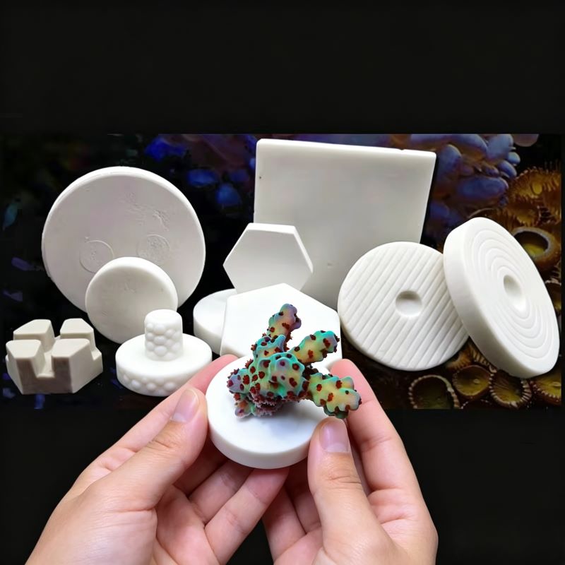 Coral Frag Plug - SPS 세라믹 코랄 프래그 플러그 베이스