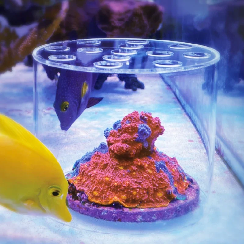 Coral Frag Plug - 바스토션 아쿠아리움 아크릴 산호 먹이주기 후드