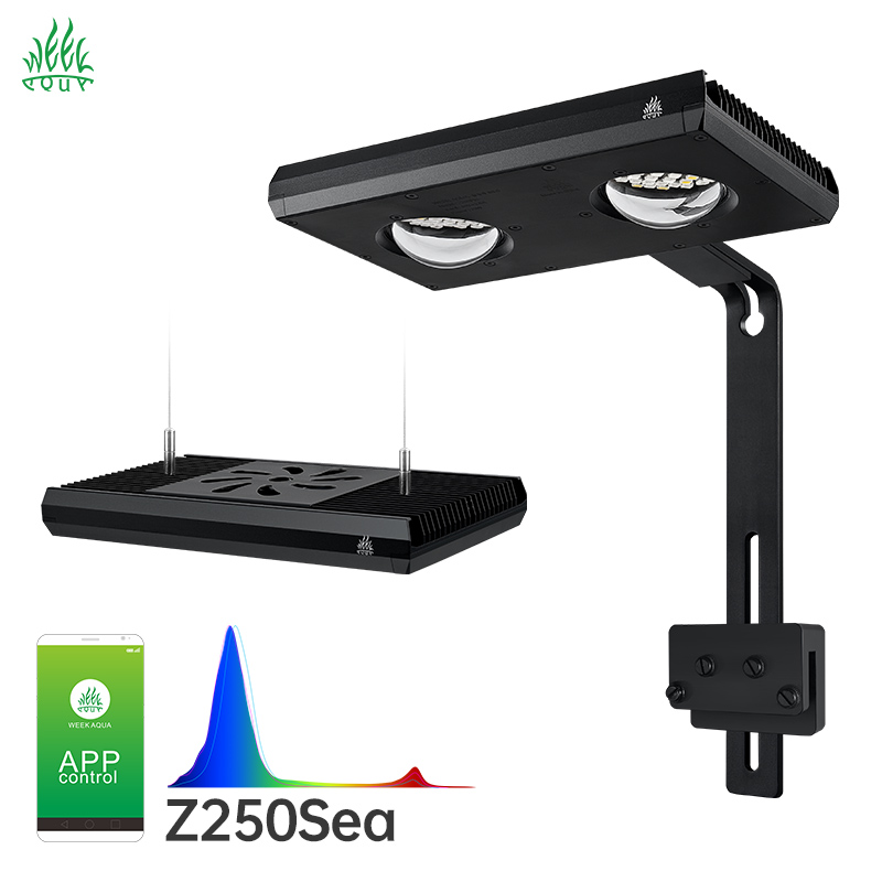 Aqua Marine Tank - 위크 아쿠아 Z250Sea Z400Sea LED 수족관