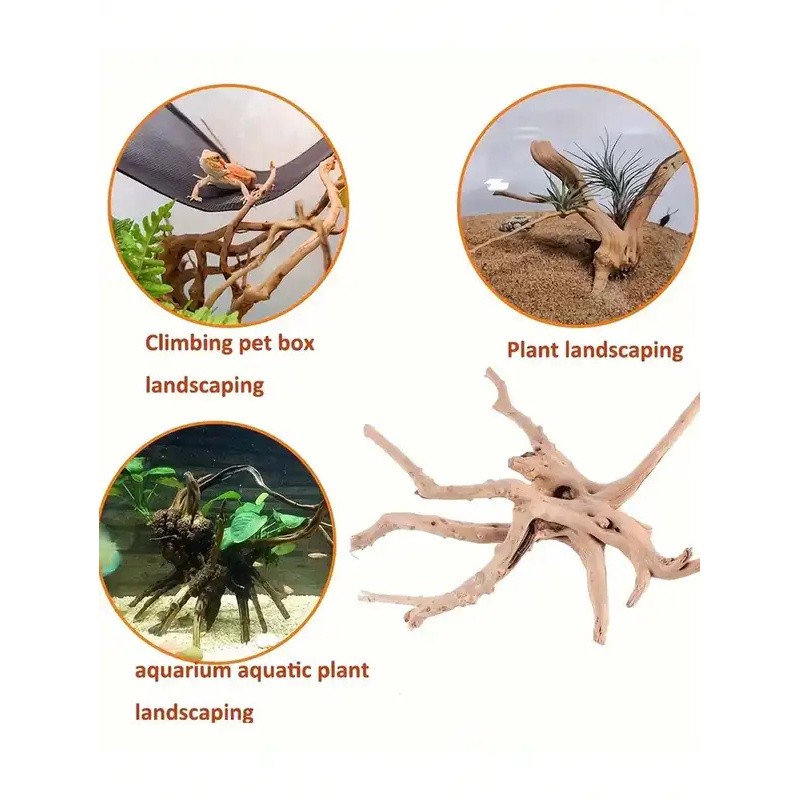 수족관 장식용 자연 유목, 어항 조경 장식품, 침몰목  - Aquarium Innovative Marine 리뷰 및 가격