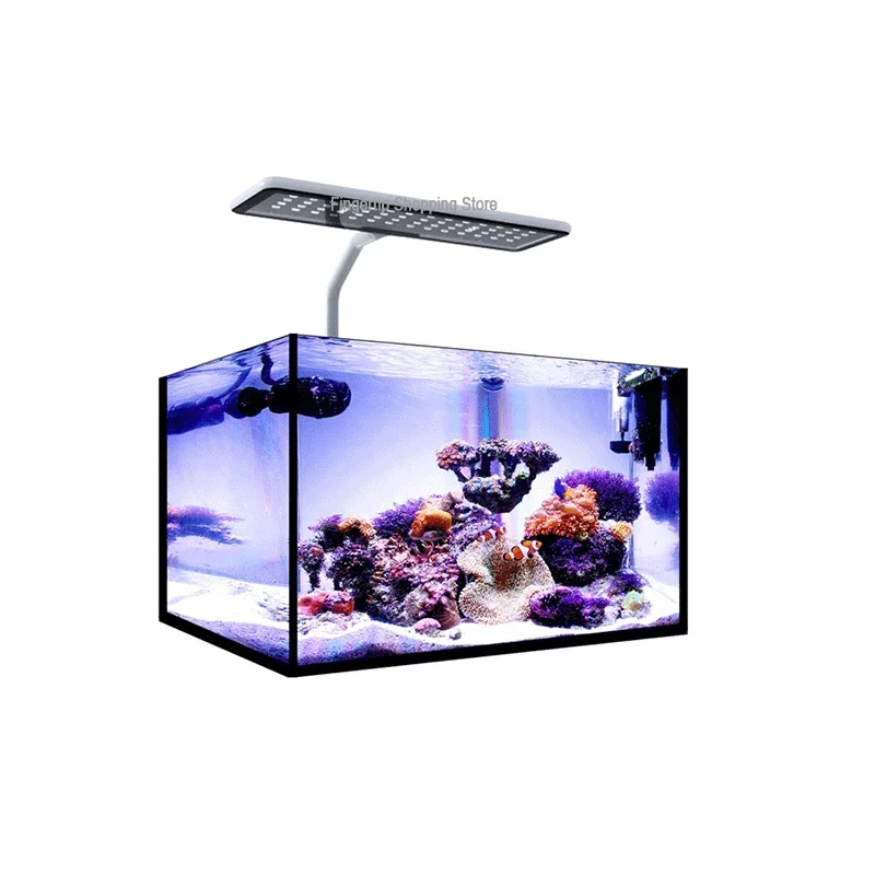 MicMol G2 아쿠아 CC 언박싱 수족관 풀 스펙트 - Aqua Marine Tank 리뷰 및 가격