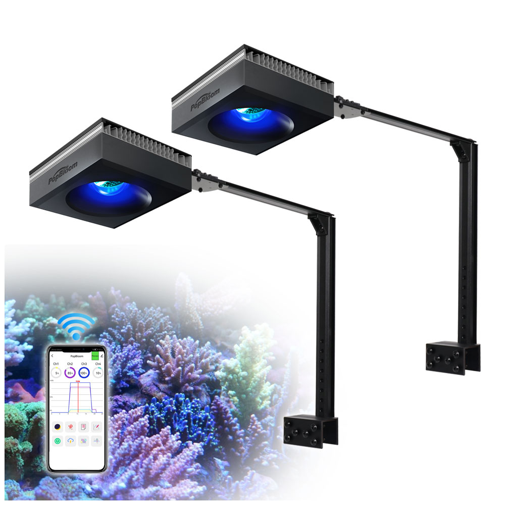팝블룸 2개입 RL90 LED 해수 수족관 조명, 산호 - Marine X Aquarium 리뷰 및 가격