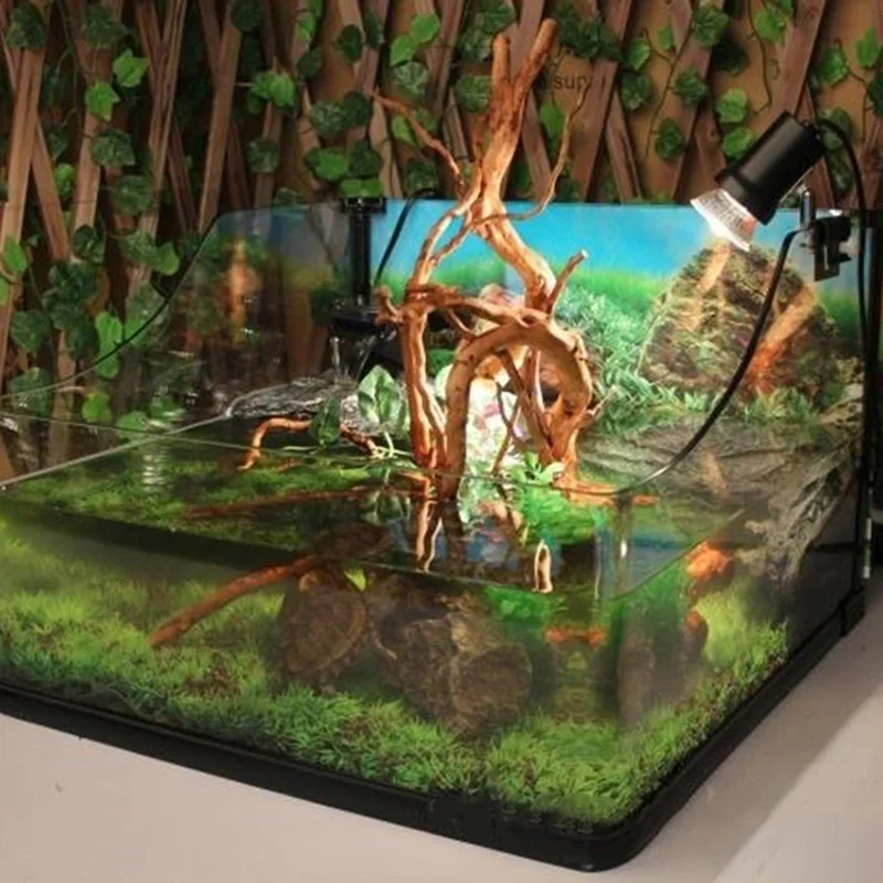 천연 나무 줄기 유목 수족관 어항, 파충류 실린더 뿌리 - Aquarium Innovative Marine 리뷰 및 가격