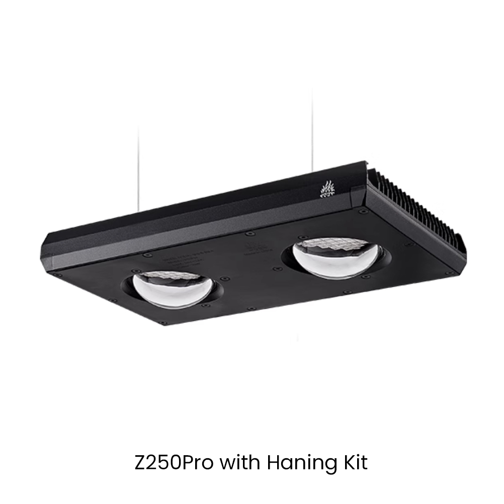 Week AQUA Z250/Z400 해양 LED 리프  - Aqua Marine Tank 리뷰 및 가격