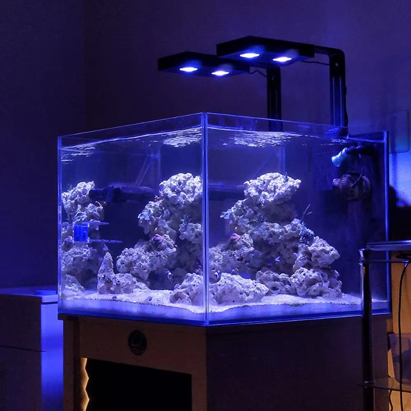 고출력 DIY 스펙트럼 90W G5 아쿠아 스타 타이머 - Aqua Marine Tank 리뷰 및 가격