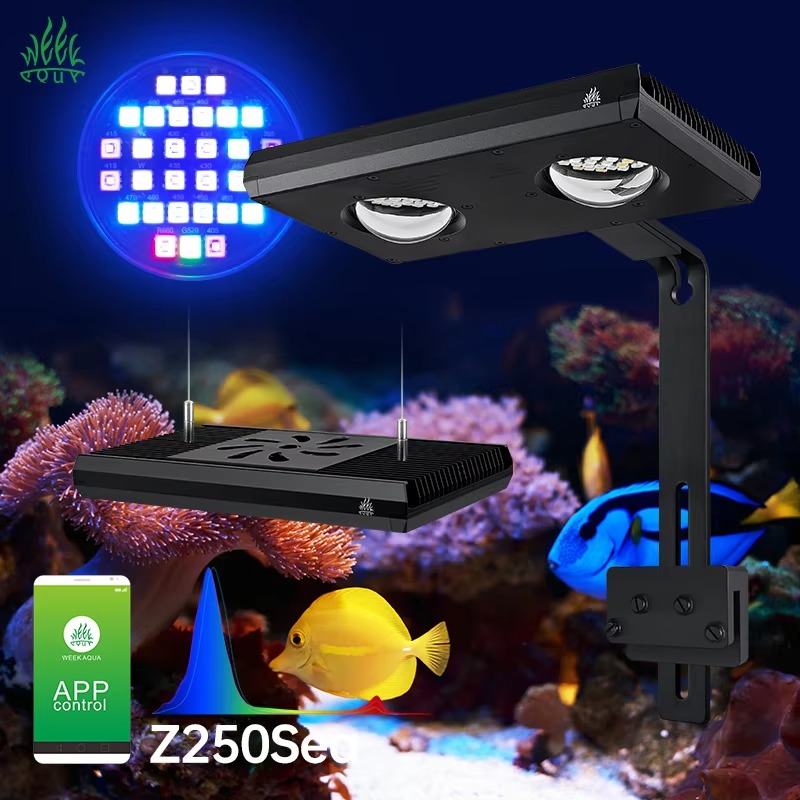 Week AQUA Z250/Z400 해양 LED 리프  - Aqua Marine Tank 리뷰 및 가격