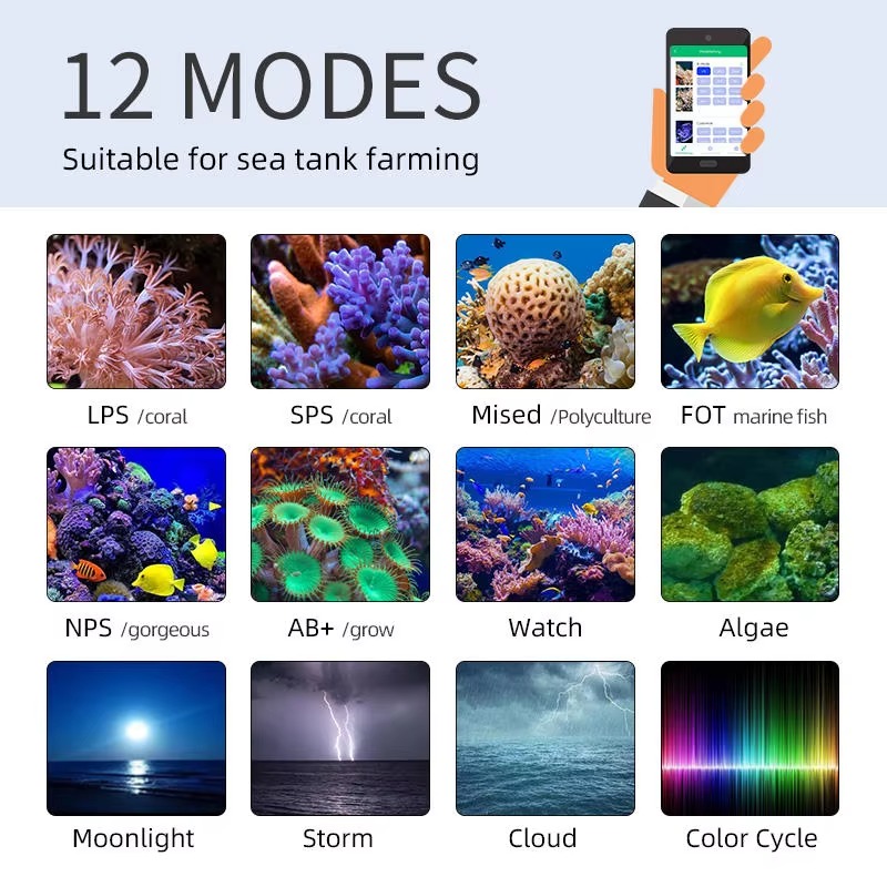 Week AQUA Z250/Z400 해양 LED 리프  - Aqua Marine Tank 리뷰 및 가격