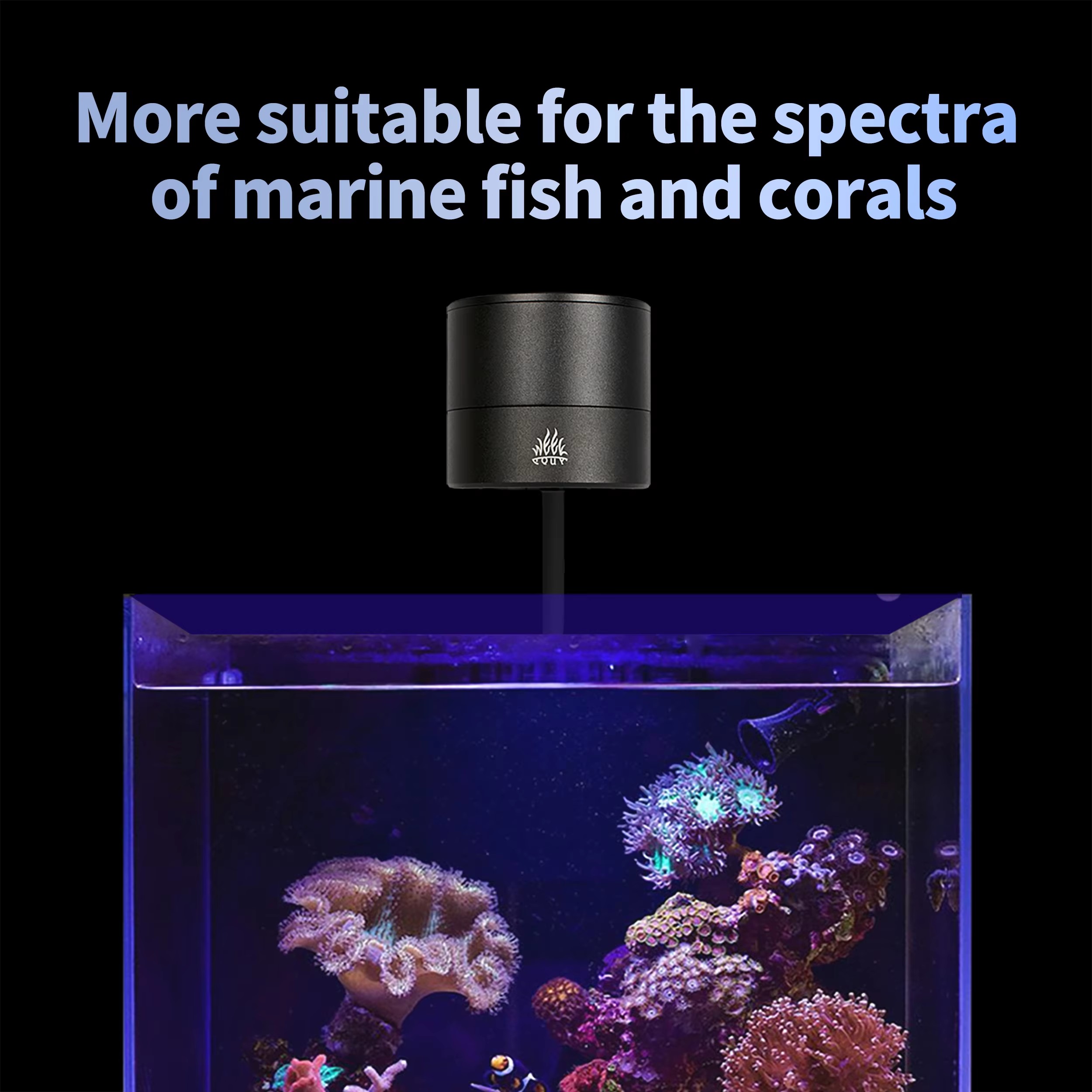 위크 아쿠아 수족관 조명 제조업체 블루 리프 라이트 L - Aqua Marine Tank 리뷰 및 가격