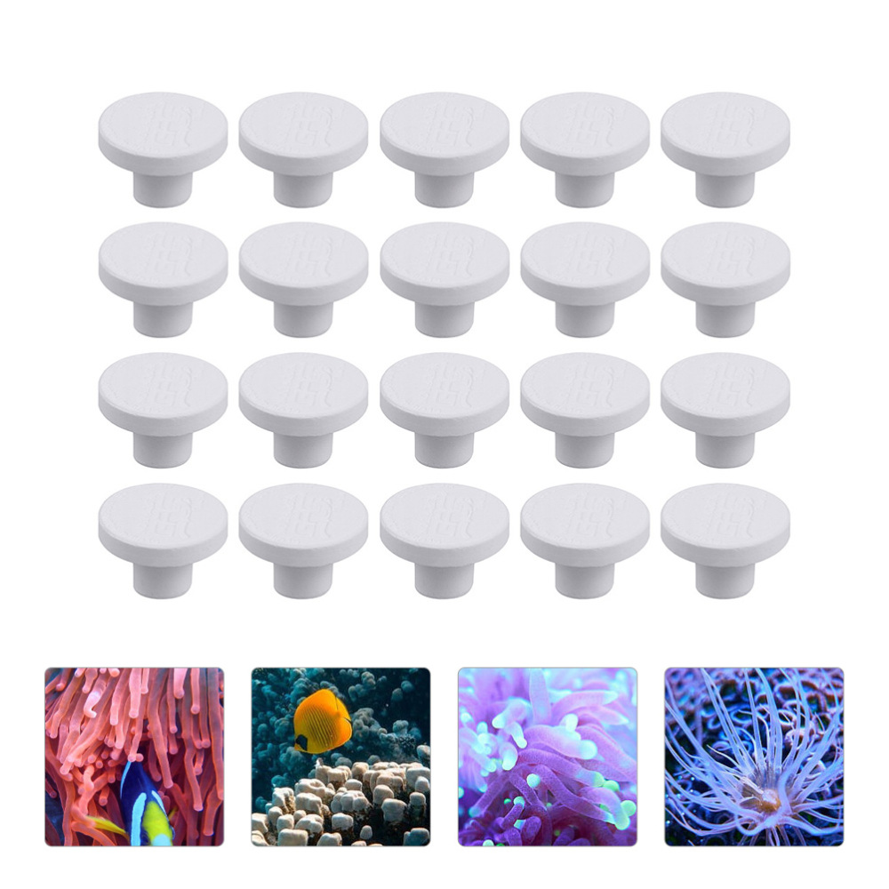 SPS 세라믹 코랄 프래그 플러그 베이스 사각형 T자형 - Coral Frag Plug 리뷰 및 가격