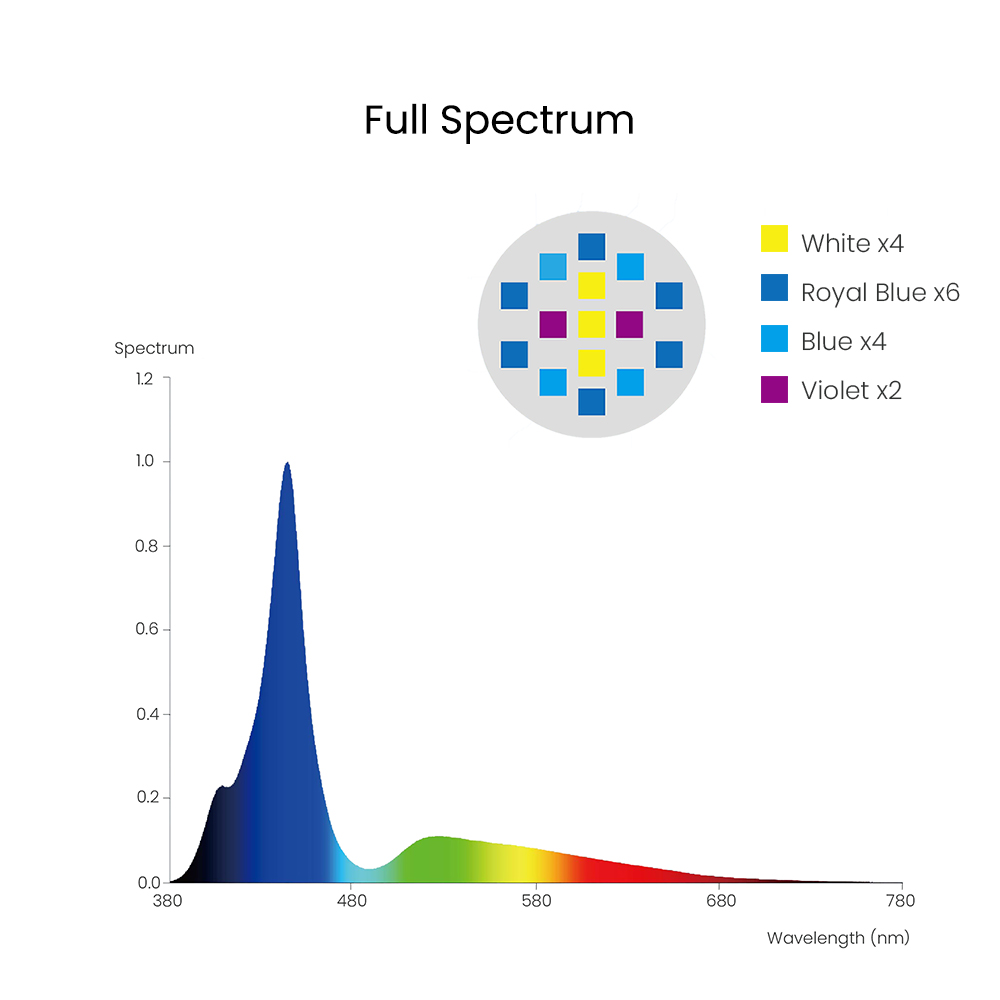 Spectra Aqua Knight V3 75W 프로그 - Aqua Marine Tank 리뷰 및 가격