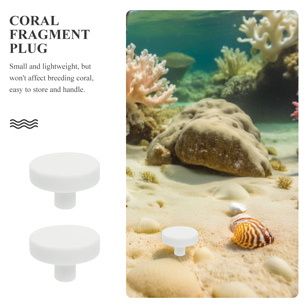 20개입 수족관 산호 지지대 산호 플러그 산호 세라믹  - Coral Frag Plug 리뷰 및 가격