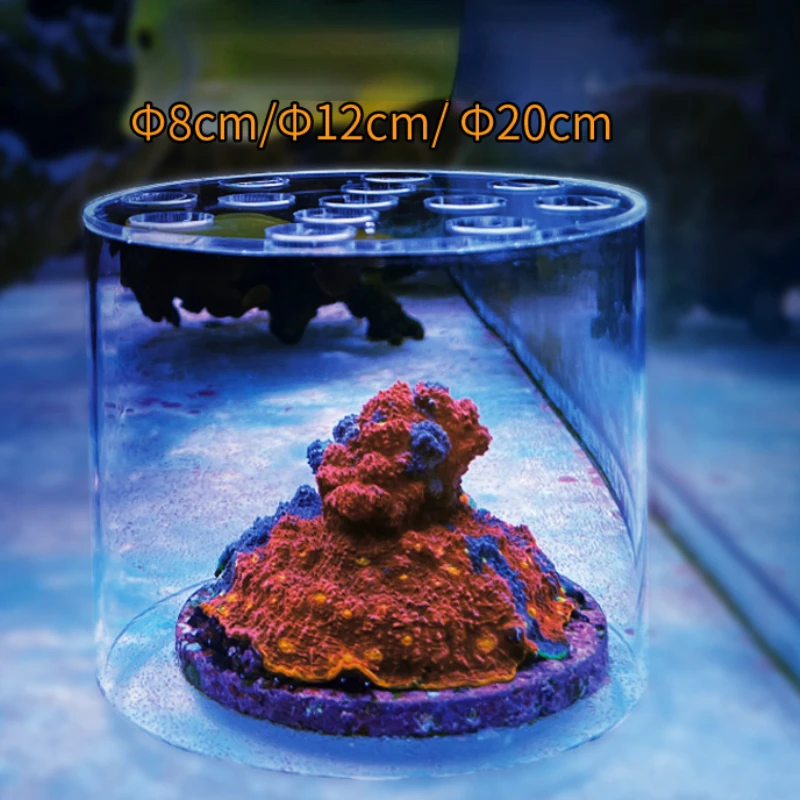 바스토션 아쿠아리움 아크릴 산호 먹이주기 후드 액체 비 - Coral Frag Plug 리뷰 및 가격