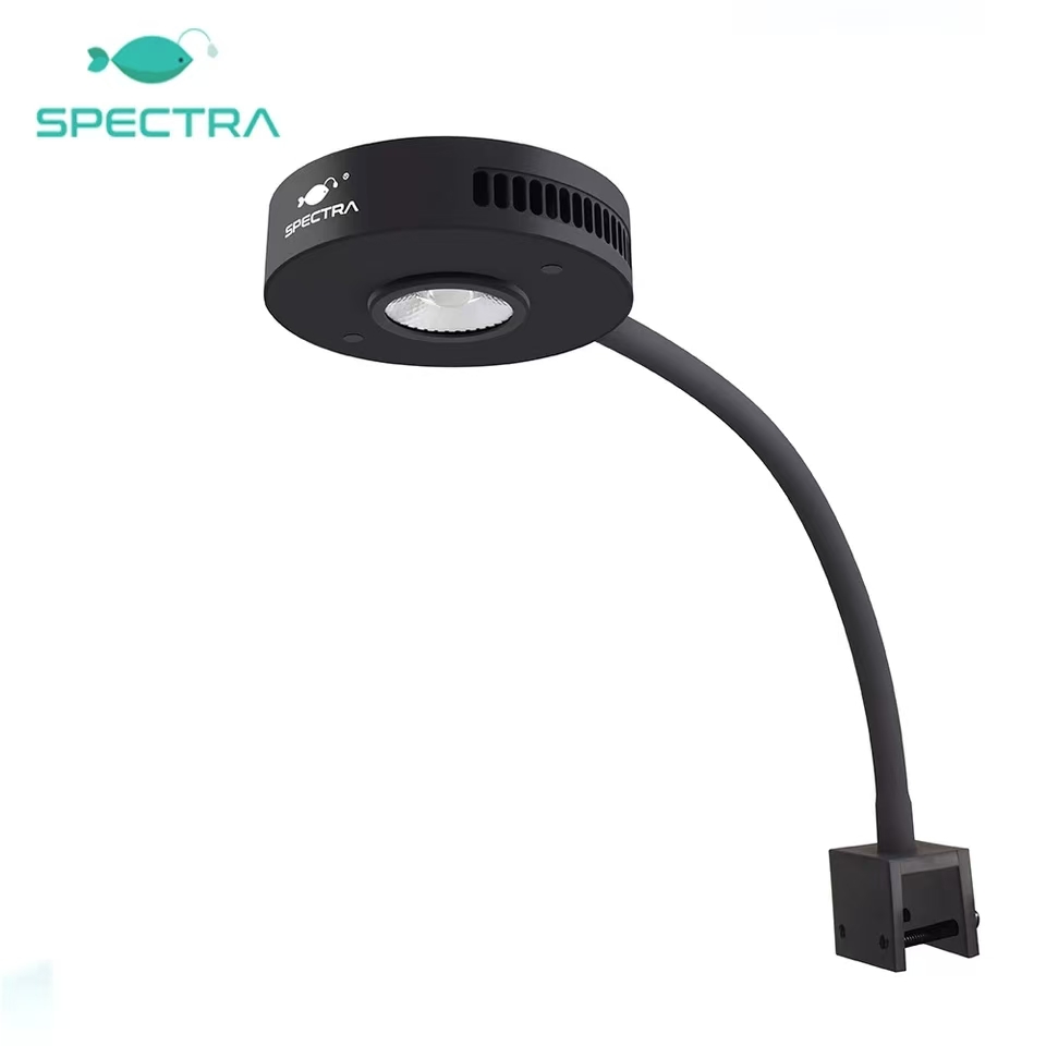 스펙트라 아쿠아 나이트 V2 36W 풀 스펙트럼 터치  - Aqua Marine Tank 리뷰 및 가격
