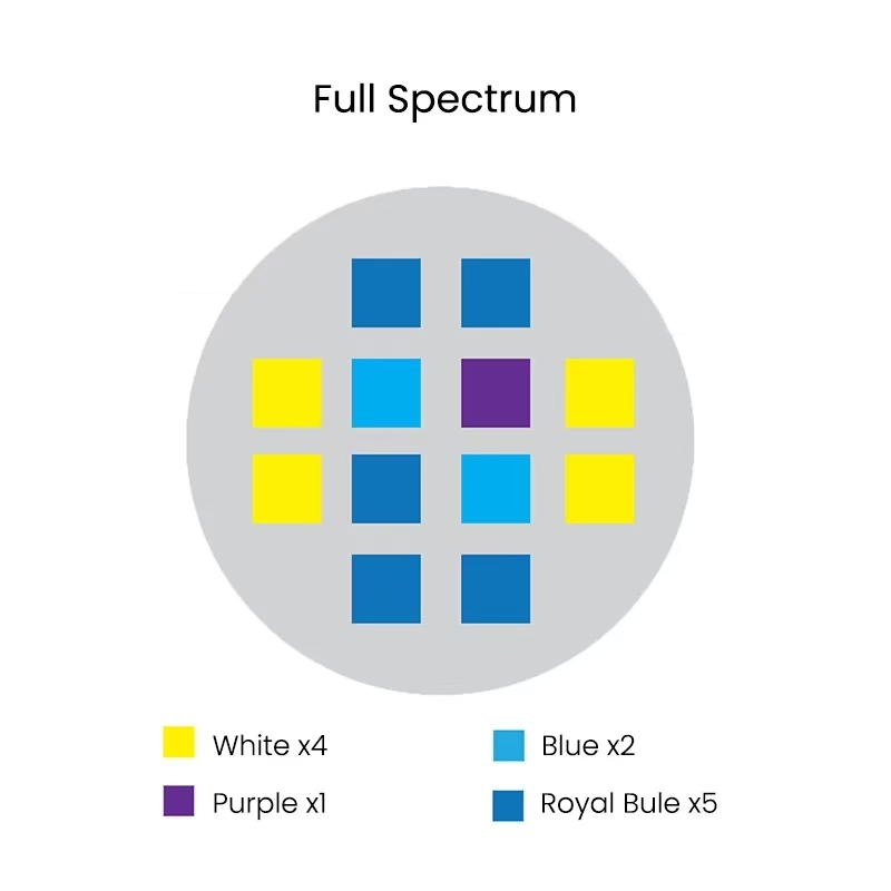 스펙트라 아쿠아 나이트 V2 36W 풀 스펙트럼 터치  - Aqua Marine Tank 리뷰 및 가격