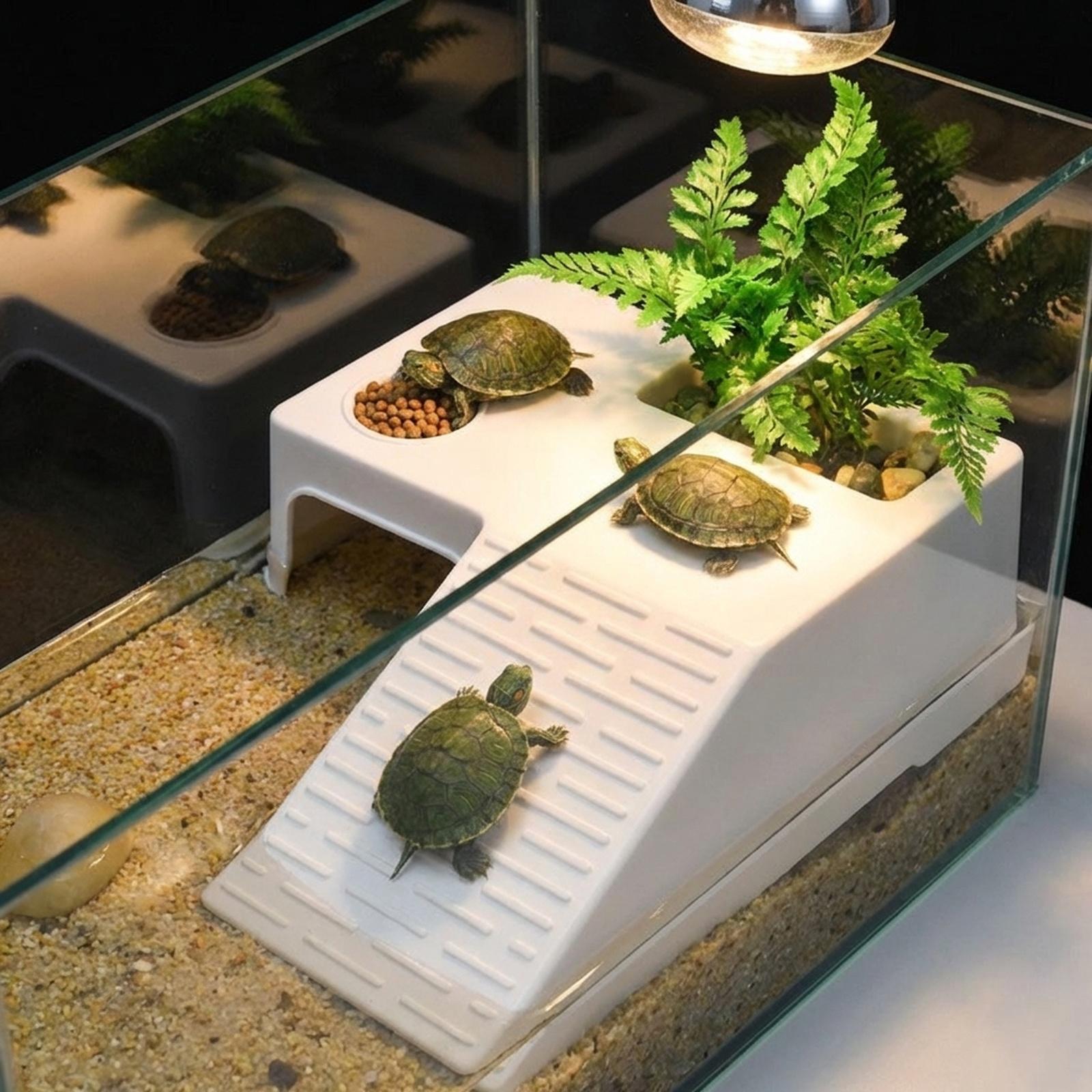 거북이 휴식 플랫폼 휴식 테라스 장식 수족관 액세서리  - Aquarium Innovative Marine 리뷰 및 가격