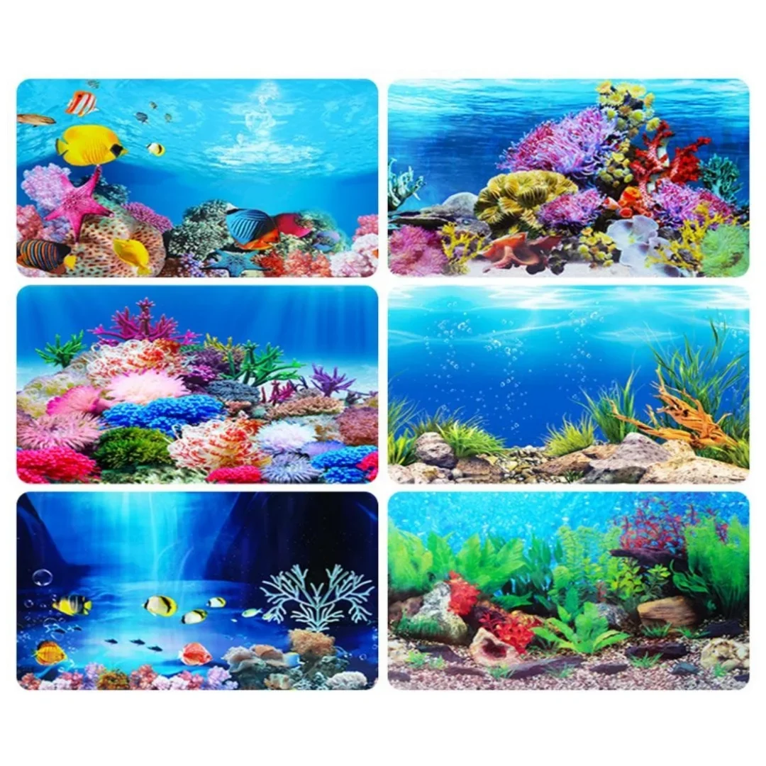 배경 수족관 3D 스티커 포스터 장식, 어항 해양 식물 - Aquarium Innovative Marine 리뷰 및 가격