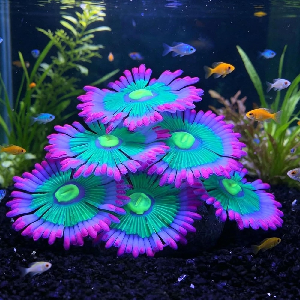 빛나는 부드러운 수족관 장식용 실리콘 발광 인공 장식  - Marine Aquarium For Sale 리뷰 및 가격