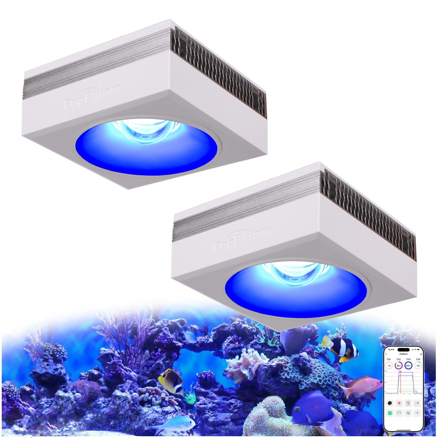 NEW PopBloom RL90 WiFi LED 수족관 - Marine X Aquarium 리뷰 및 가격