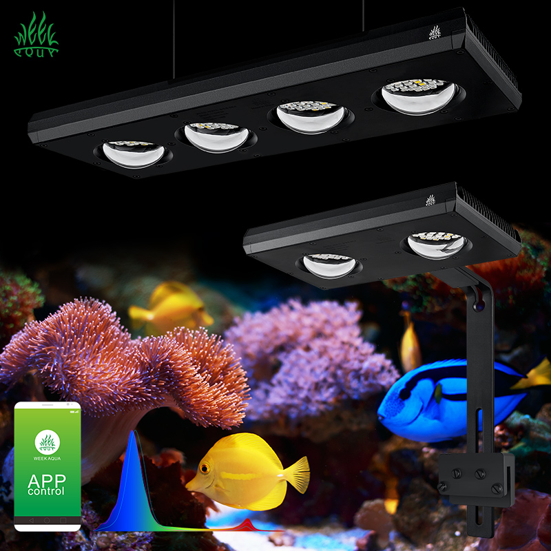 위크 아쿠아 Z250Sea Z400Sea LED 수족관 - Aqua Marine Tank 리뷰 및 가격