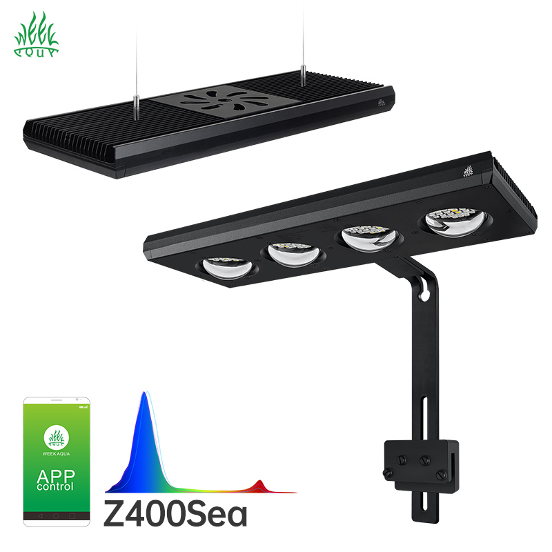 위크 아쿠아 Z250Sea Z400Sea LED 수족관 - Aqua Marine Tank 리뷰 및 가격
