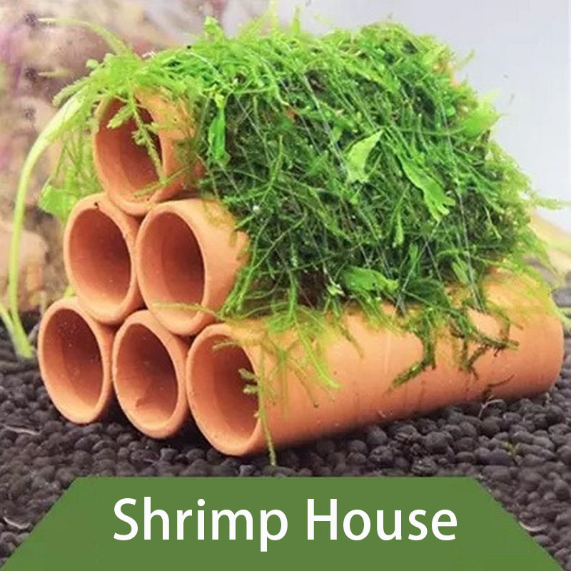 점토 수족관 장식 물고기 새우 놀이 숨어있는 동굴 대피 - Aquarium Innovative Marine 리뷰 및 가격