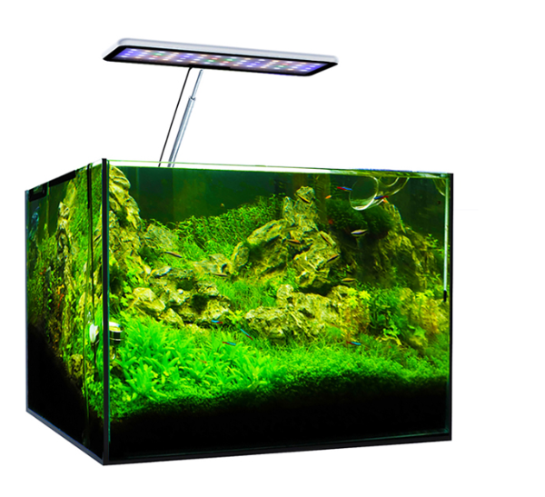 마이크몰 아쿠아 CC 수족관 LED 조명, 담수 및 해 - Aqua Marine Tank 리뷰 및 가격