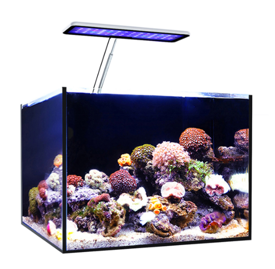 마이크몰 아쿠아 CC 수족관 LED 조명, 담수 및 해 - Aqua Marine Tank 리뷰 및 가격