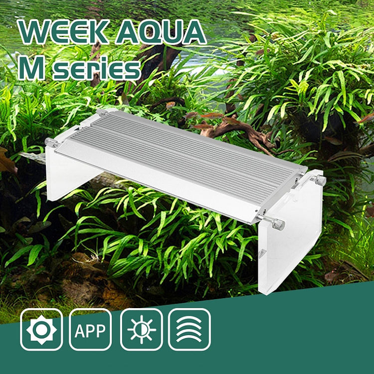 위크 아쿠아 수족관 해양 산호초 어항용 LED 생생한  - Aqua Marine Tank 리뷰 및 가격