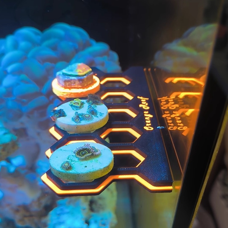 형광 자석 산호 플라그 홀더 발광 산호 랙 브래킷 수족 - Coral Frag Plug 리뷰 및 가격