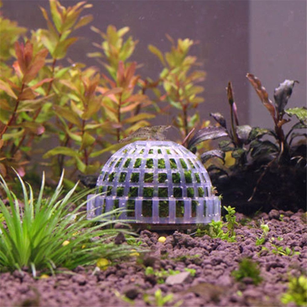 새로운 플라스틱 서스펜션 모스 돔 반원형 화이트 마리모 - Marine Aquarium For Sale 리뷰 및 가격